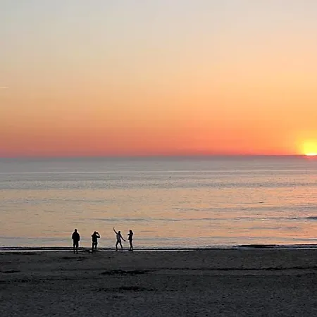 Bluesheep-texel Bed & Breakfast 3*