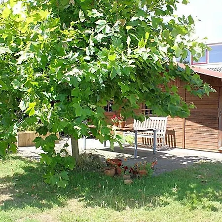 Bluesheep-texel 3* De Koog (Texel)