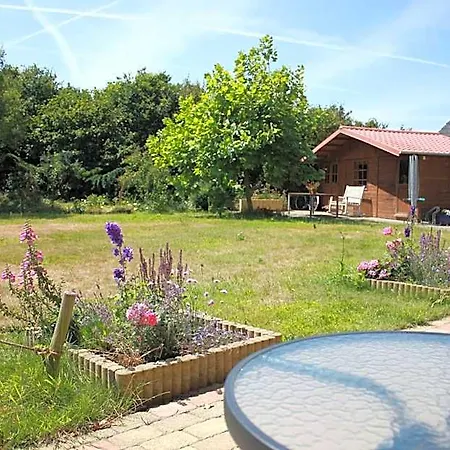 Bluesheep-texel Bed & Breakfast De Koog (Texel)