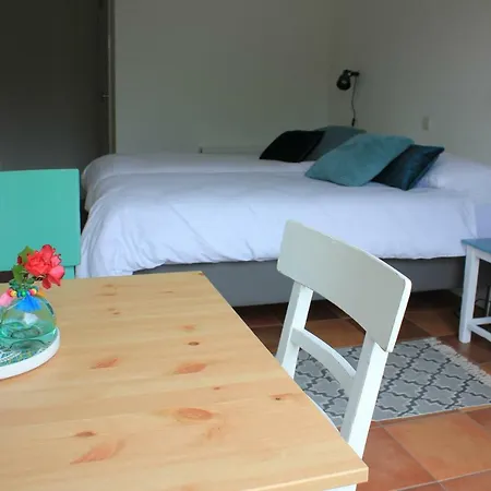 Bluesheep-texel 住宿加早餐酒店 3*