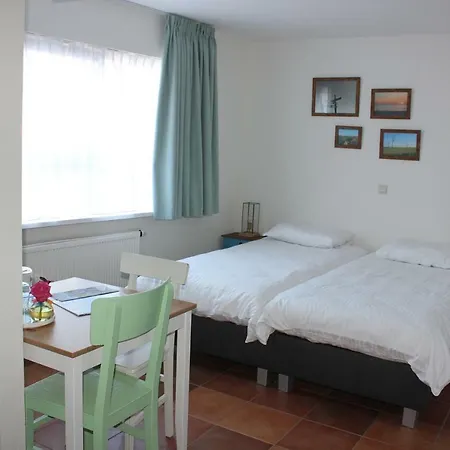 Bluesheep-texel 德科赫