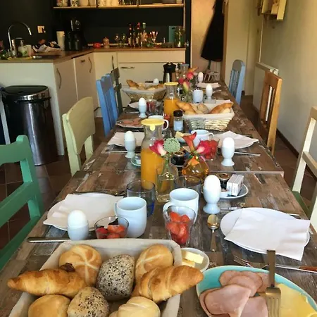 Bluesheep-texel 3* 德科赫