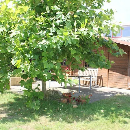Bed & Breakfast Bluesheep-texel De Koog (Texel)