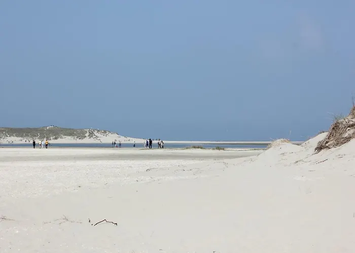 Bed & Breakfast Bluesheep-texel 3*