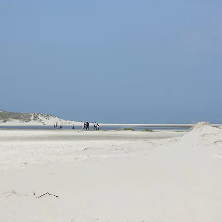 Bed & Breakfast Bluesheep-texel 3*