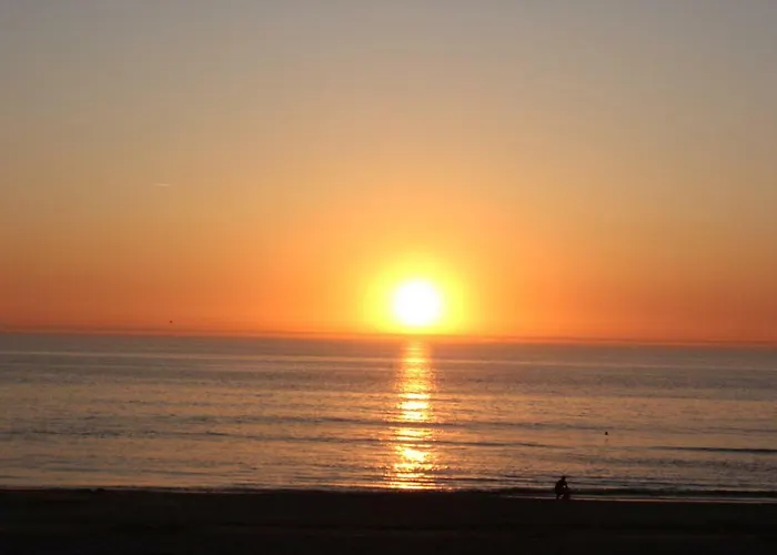 Bluesheep-texel 3* De Koog (Texel)